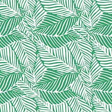 Abstract green jungle print. Exotic plant. Tropical pattern, palm