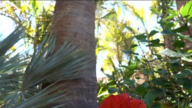 tropical sunny destination  logistic setting