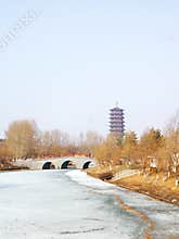 Winter in the park of ChangChun
