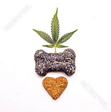 Dog treats and cannabis leaves isolated over white background
