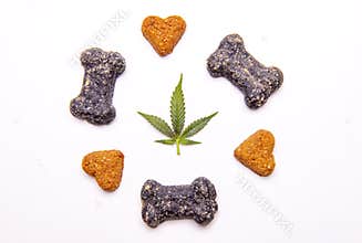 Dog treats and cannabis leaves isolated over white background