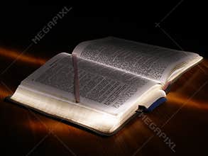 Bible