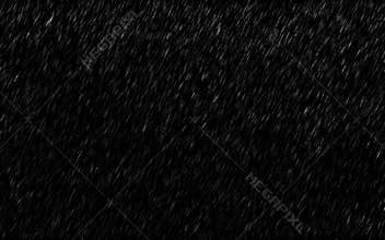 Falling raindrops isolated on dark background. Heavy rain and weather storm in raining season