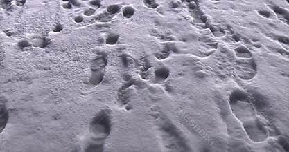 Footprints in the snow loop