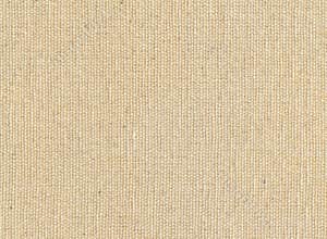 Cotton Canvas