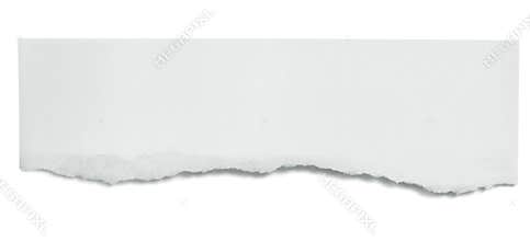 Torn Paper Banner