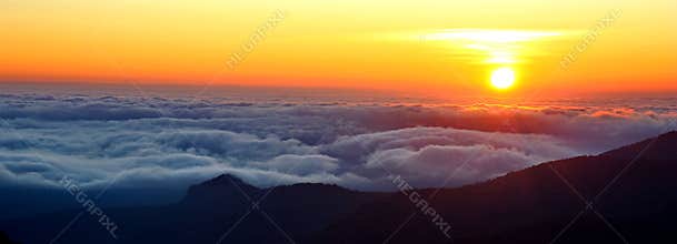 The sunshine