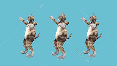 Concept Cool and Fun Pet Kitty Dancing Hip Hop Style Move to the Beat Animated