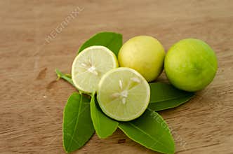 LIme On Leafy Stem