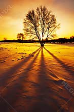 Sunrise