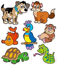 Pet cartoons collection