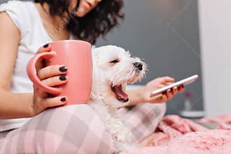 Sweet little white dog yawning on knees young woman in pajama chilling on bed with a cup of tee. Enjoying home comfort