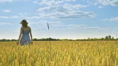Woman walking away in agriculture field. Alone concept
