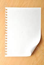 Paper