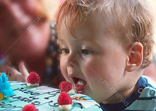 Young boy on birthday