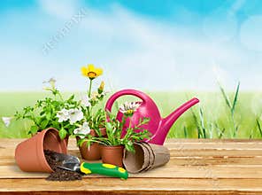 Flower Pot with red flowers and gardening utensils
