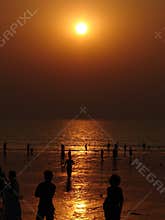 Golden Shore