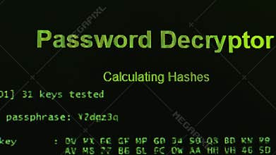 Password Decryptor work and decoding password. Some programmers code in green color on black screen