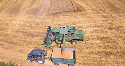 Aerial view of harvesting wheat with a combine