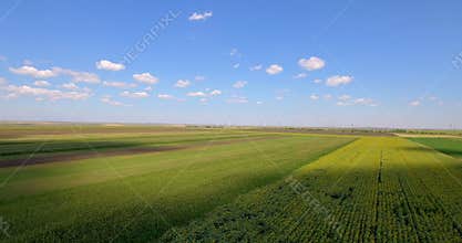 Aerial shot of agricultural parcels of different crops