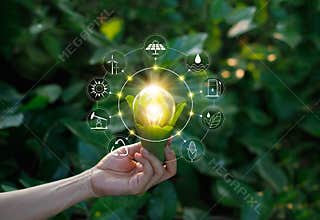 Hand holding light bulb on green nature with icons