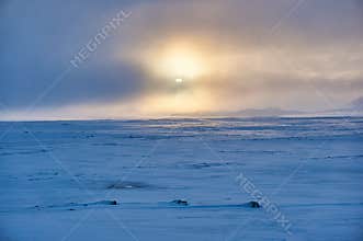 Wintery landscape in misty conditions