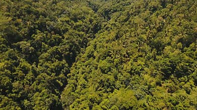 River in the rainforest Bali,Indonesia.