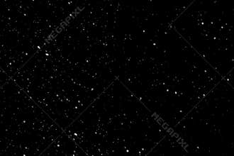 White snowflakes on a black background