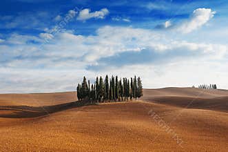 Tuscany, Italy - scenic view of tuscan landscape with rolling hills, small cypress trees forest and blue sky with clouds