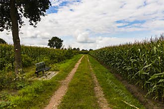 Hiking the GR5 trail in the Benelux
