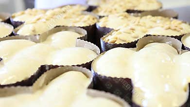 Pastry chef hands put almonds on dough for Easter cake doves