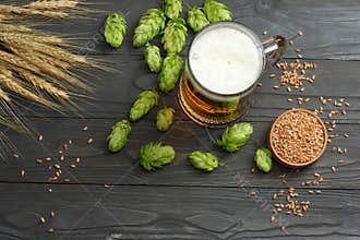 Glass beer with hop cones and wheat ears on dark wooden background. Beer brewery concept. Beer background. top view