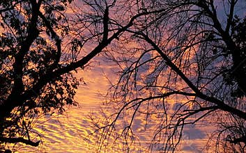 Majestic sunrise
