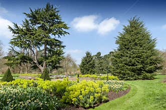 Great Broad Walk Borders with various plants and trees at Kew Gardens, England