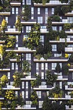 Background texture house building office with plants window geom