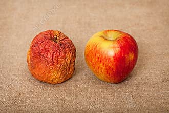 Two fruit against canvas - bad and good apples