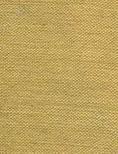 Canvas Texture
