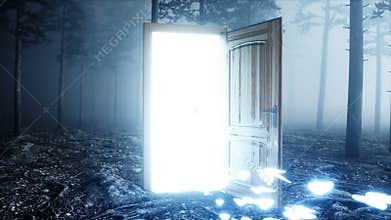 Glowing butterflies in fog night forest. Light portal door. Mistic and magic concept. Realistic 4k animation.