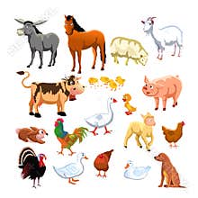 Farm animals