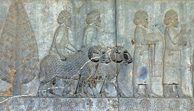 Ancient bas-reliefs of Persepolis, Iran