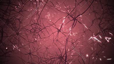 Neurons in brain. 3D looping animation of neural network