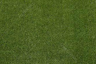Green grass turf floor texture background