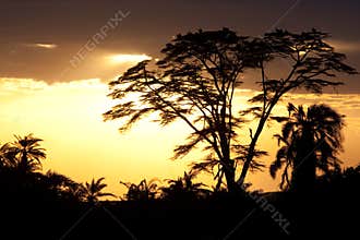 Sunset in africa