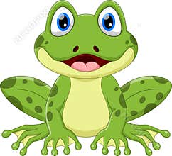 Cute green frog cartoon