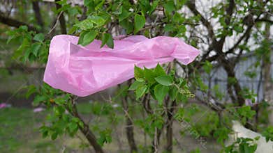 Disposable plastic bags on a branch. Pollution by plastic waste of environment.