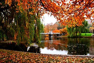 Boston Public Garden