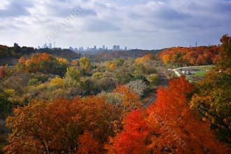 Fall arrives Toronto
