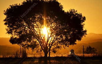 Sunset sun setting behind mountains and one tree countryside