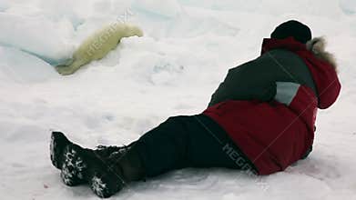 Newborn seal on ice White Sea in Russia.