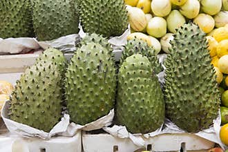 Guanabana tropical fruit for sale in authentic street market